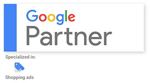 Google Partner AdWords